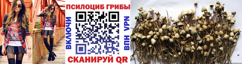 Галлюциногенные грибы мухоморы Радужный